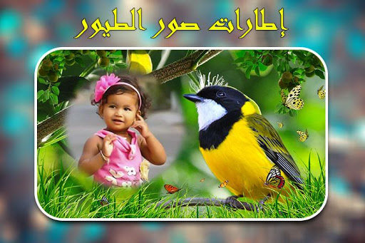 إطارات الصور الطيور. 9 تصوير الشاشة