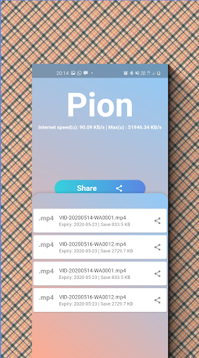 Pion Web Share photo, video, audio, pdf screenshot 5