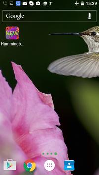 Hummingbirds Live Wallpaper screenshot 3
