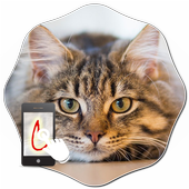 Gesture Lock Screen Cat icon