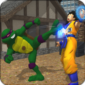Turtle Hero Street Fighting icon