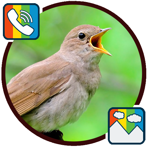 Nightingale - RINGTONES and WALLPAPERS icon