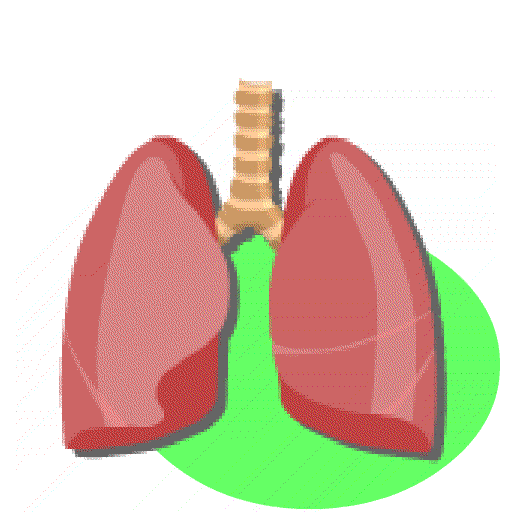 Lung Sounds icon
