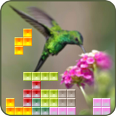 Tetrice for the Birds أيقونة