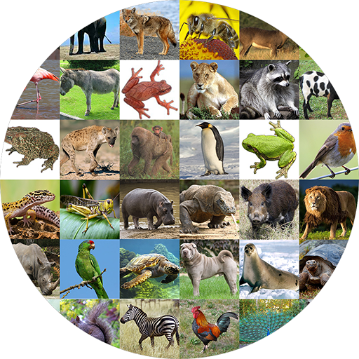 Animal Sounds Audio icon