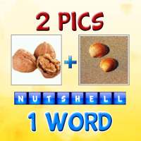 2Pics1Word