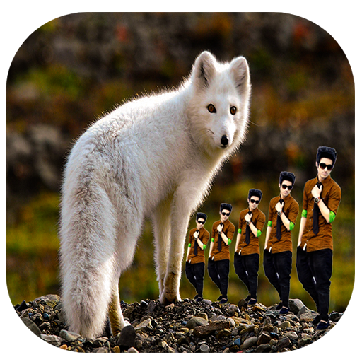 animal echo mirror effect icon