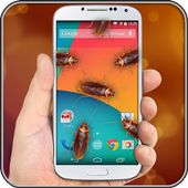 Cockroach in Phone Prank icon