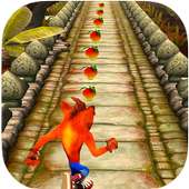 Temple Crash Jungle Run Bandicot