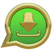 Story saver Whats app icon