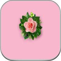 Wallpaper for Huawei Mate 10 on 9Apps