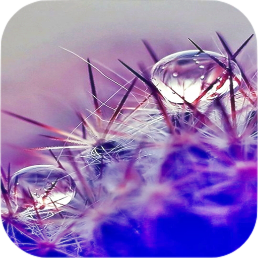 Water Drops Wallpapers icon