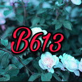 B613 beauty and filter camera icon