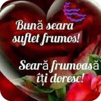 Bună seara! O seară frumoasă!