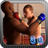 Street Fighting Boxing 3D