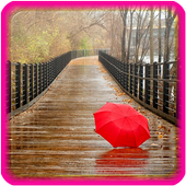 Rain Live Wallpaper icon