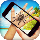 Spider Prank icon