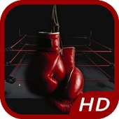 Real Boxing Games