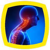 Head Posture Fix on 9Apps