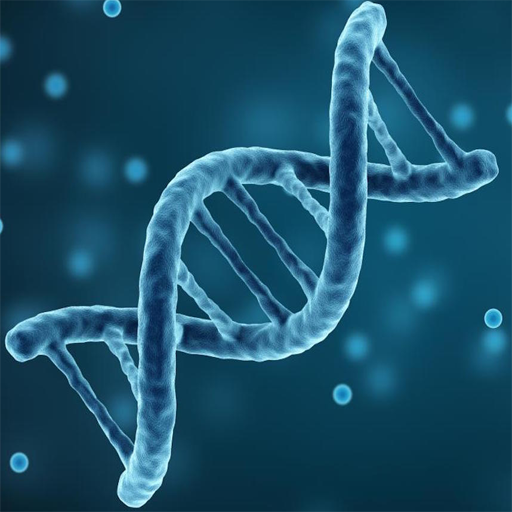 Hsc Biology Trick(জীববিজ্ঞান  শর্ট টেকনিক) иконка