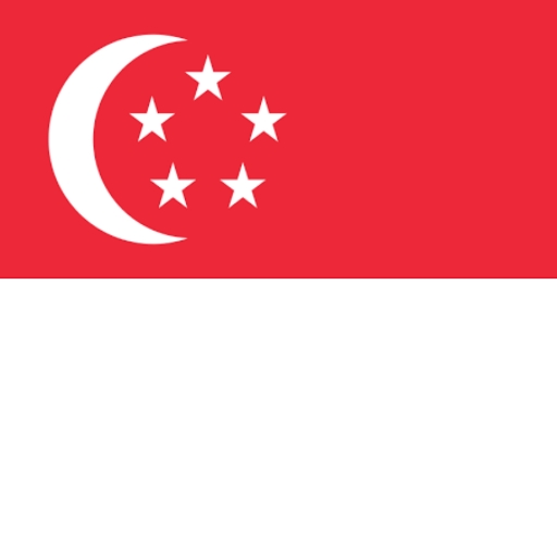 Singapore VPN - Fast VPN Proxy icon