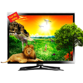 Movies &amp; Live TV Channels 2020 icon