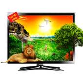 Movies & Live TV Channels 2020