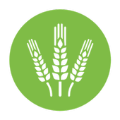 VKS CAPI - Mekong 2.0.5.Final иконка