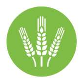 VKS CAPI - Mekong 2.0.5.Final on 9Apps