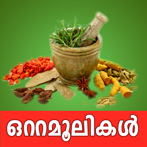 Ottamoolikal in Malayalam free app icon