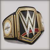 WWE Championship : WWE Championship Fight Videos