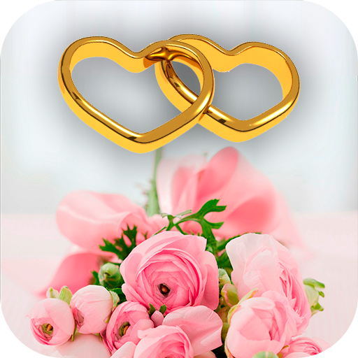 Planifica tu Boda icon