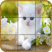 Epic Cute Cats Puzzles icon
