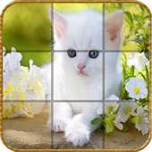 Epic Cute Cats Puzzles