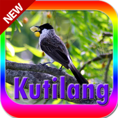 Burung kutilang 2018 icon
