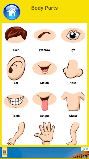 Learn Body Parts in English screenshot 2