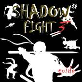Guide for Shadow Fight 3