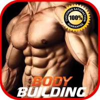 Bodybuilding Workout