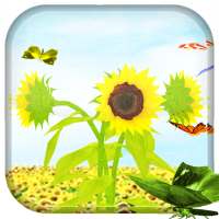 Sunflower 3D LiveWallpaper