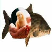 majumdar farm on 9Apps