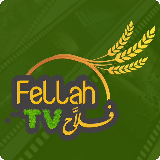 Fellah TV icon