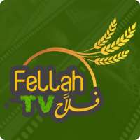 Fellah TV