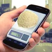 Pocket Scales Simulator 2