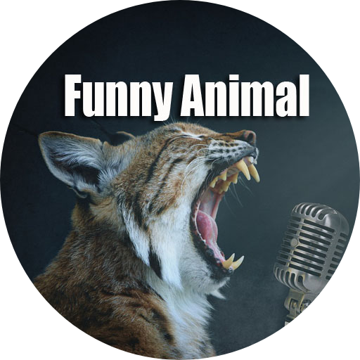 Funny Animals Video App 2021 Fun Videos for Animal icon
