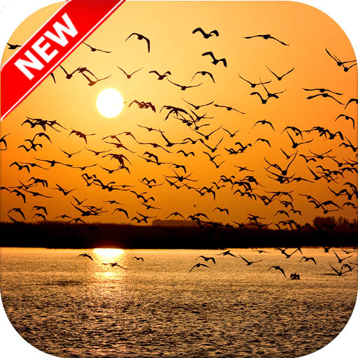 Sunset Wallpaper HD 🌇 icon