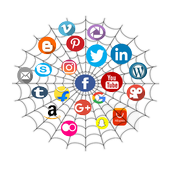 All in One Pay Browser icon