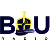 BIU Radio on 9Apps