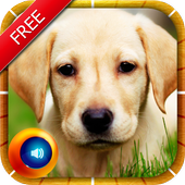 Animal Sounds &amp; Pictures Kids icon