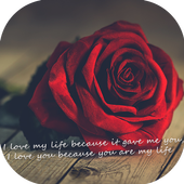 Love Video Status icon