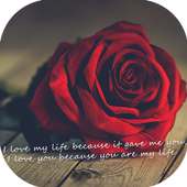 Love Video Status on 9Apps